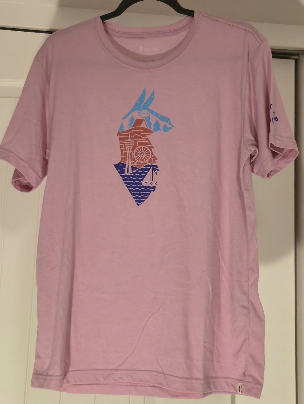 Rare Cotopaxi Design